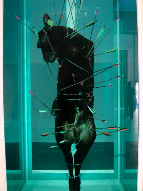 Figura 5: Damien Hirst, Natural History - the Phisical Impossibility of the Death in the Mind of Someone Living, (detalhe), 1999