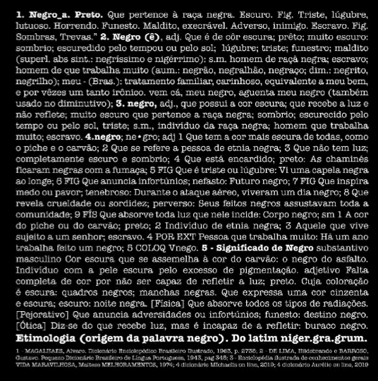 Figura 6: Sérgio Adriano H | <em>Negro_a. Preto</em>, 2019, 250 x 250 cm, Definição de negro dos dicionários, acervo MASC